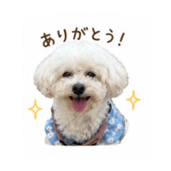 pokima_20260508141935