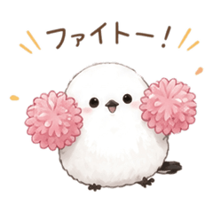 shimaenaga 01