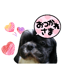chie_20260508193609