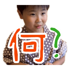 miyata naru_20260508193646