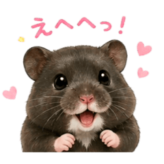 YoshiE_20260508193245