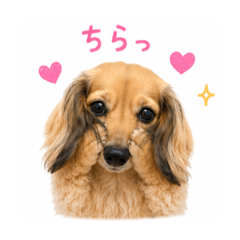 chanmugi_20260508154222
