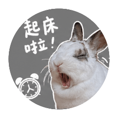 莊麻糬