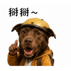可可寫實生活篇