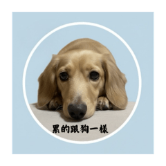 豆豆生活日常小貼圖