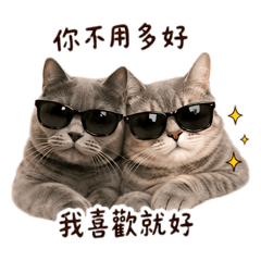 你不用多好我喜歡就好