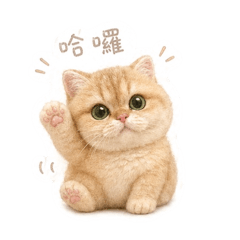 可可愛愛貓貓咪咪喵喵喵
