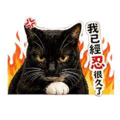 黑王子的罵人日
