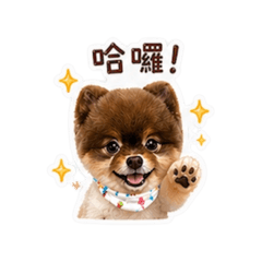 熊小熊