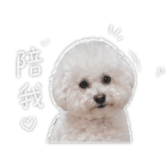 麻糬弟弟～～
