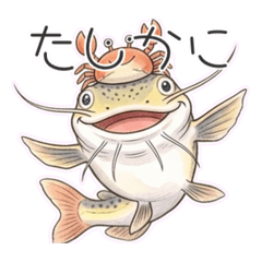 Redtail Catfish taro