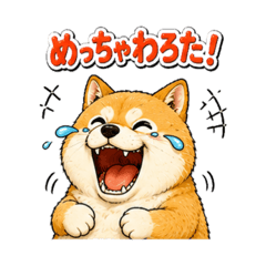 sora_yuru_20260508170405