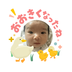 Yuyan_20260508230153