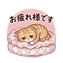 Gonta_20260508230023