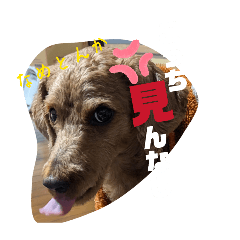 kanna_20260508231006
