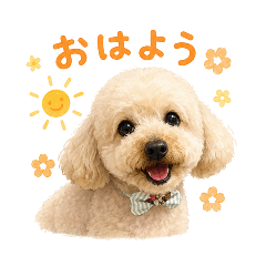 tenten_20260509011343