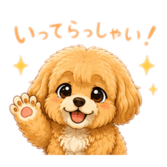 maltipoo of life