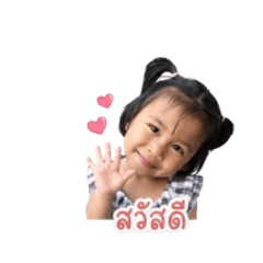 DARINnarin