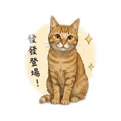 FAFA登場