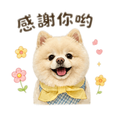 哈嚕小可愛