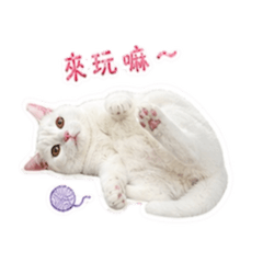 雪寶（搗蛋系列）
