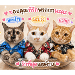 Ppsticker collection_20260501151753