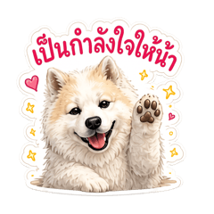 Miki Paw studio_20260503121552