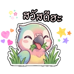 Bankhunpat_20260510153713