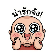 PPloy_20260428160836