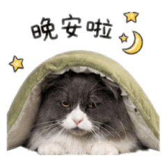 憨包包 ver01