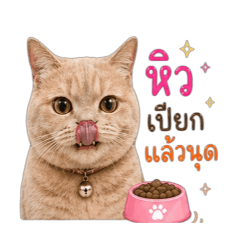 noo nuy sticker_20260430202254
