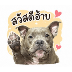 Manee_20260502235541