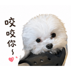 瑪爾濟思-本丸