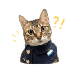 阿順阿勇小情侶