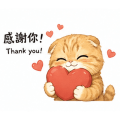 橘貓麥麥