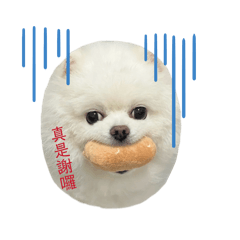 郭樂樂的可愛日常