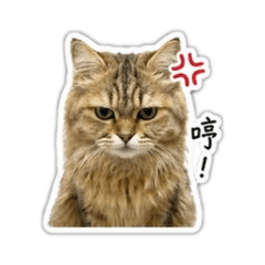 ㄋㄧㄚㄋㄧㄚ咪