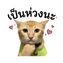 Chom Chom_20260504203336