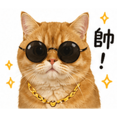 麻糬的小表情2