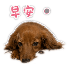 我們7979