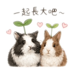 可愛小兔紙