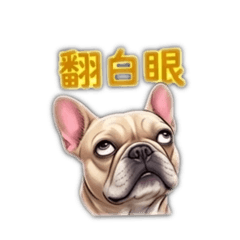 暴躁法鬥