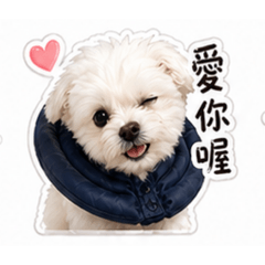 汪星人出沒
