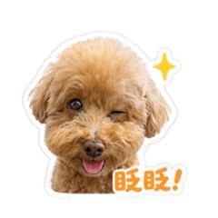 嚕比汪
