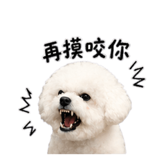 小狗愛咬人