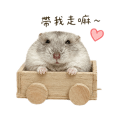 嗨咿小胖鼠