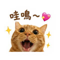 卡樂比打招呼
