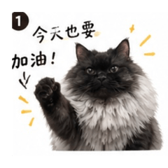 Kuma勵志篇