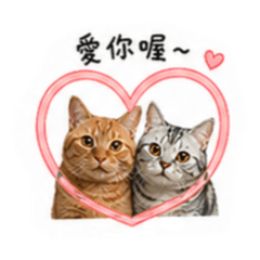 辛巴芭娜拉 simbanaNala
