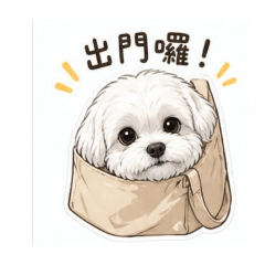 馬爾濟斯-貝果6